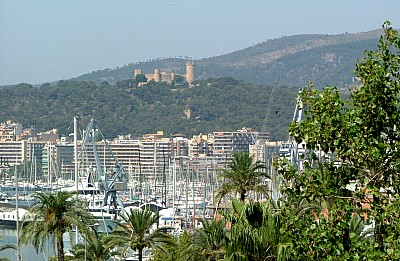 Haven Palma